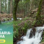 Descubra a Magia dos Moinhos de Albergaria-a-Velha